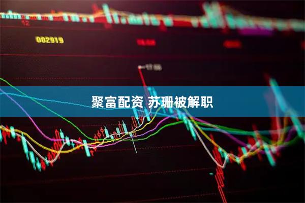 聚富配资 苏珊被解职