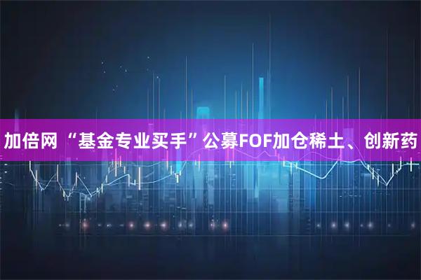加倍网 “基金专业买手”公募FOF加仓稀土、创新药