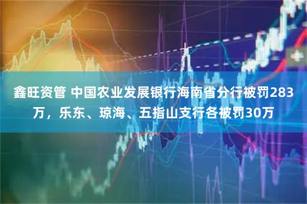鑫旺资管 中国农业发展银行海南省分行被罚283万，乐东、琼海、五指山支行各被罚30万