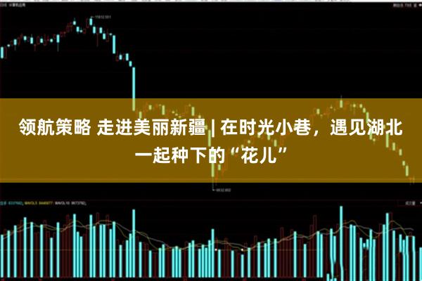 领航策略 走进美丽新疆 | 在时光小巷，遇见湖北一起种下的“花儿”