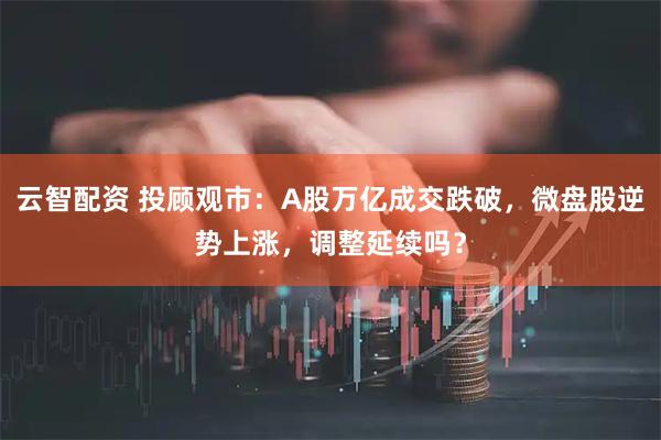 云智配资 投顾观市：A股万亿成交跌破，微盘股逆势上涨，调整延续吗？