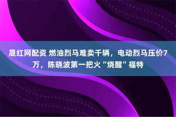 晟红网配资 燃油烈马难卖千辆，电动烈马压价7万，陈晓波第一把火“烧醒”福特