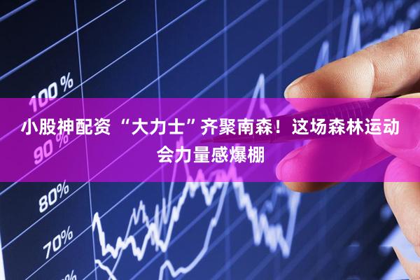 小股神配资 “大力士”齐聚南森！这场森林运动会力量感爆棚